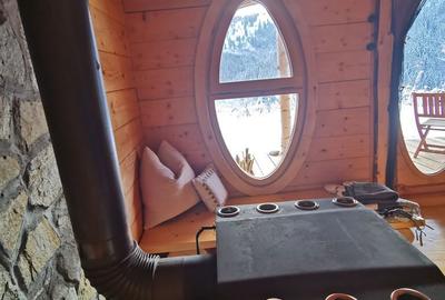 Casă cu 4 camere cu Teren 62000 Mp în Horea - 16