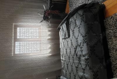 Casa de vanzare ,vila - 9