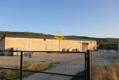 Hala industriala Dej cu platforma betonata curent trifazi - 4