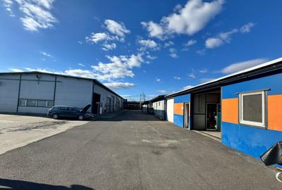 SERVICE AUTO Ultramodern (Business ultraprofitabil la cheie - 13