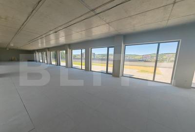 Spatiu de birouri ,1348 mp, terasa 990 mp, clasa A++, zona V - 14