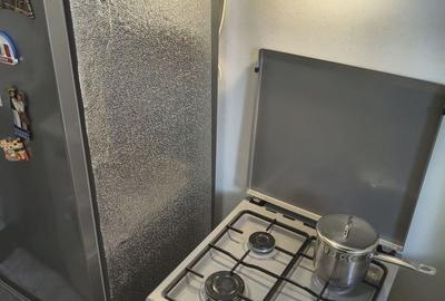 Apartament cu 2 camere decomandat, mobilat în Nord-Vest - 18