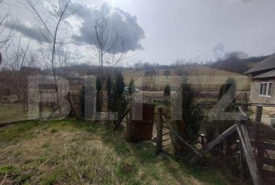 Teren 300 mp + Cabana,zona Livezile,Valea Lunga - 22