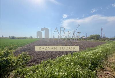 Teren agricol extravilan de 7633 mp, în Mihai Bravu - 4