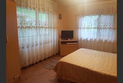 Holiday house/pension in Dâmbovicioara, Argeș - 6