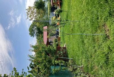 Casa de vacanta - 10