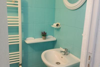 Apartament cu 2 camere, mobilat în Brotăcei - 11