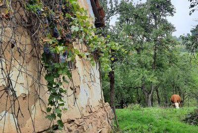 Casă cu 2 camere cu Teren 15000 Mp în Finiș - 1