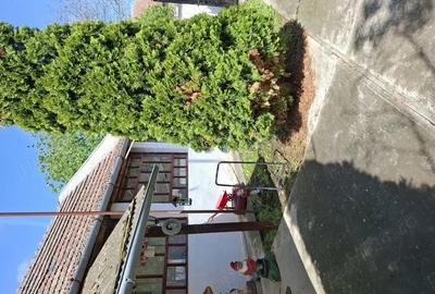 Casa de vanzare in Satchinez!Pret 74000 euro! Casa de vanzare in Satchinez!Pret 74000 euro! - 5