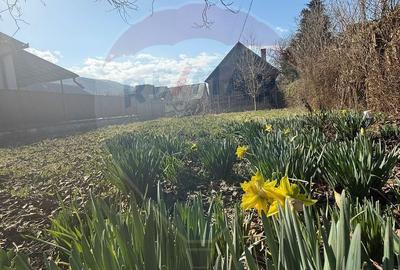 Casă cu 3 camere în Valea Cufundoasă - 4