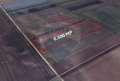 Teren extravilan de vanzare - 6.500 mp, Harman,  Brasov