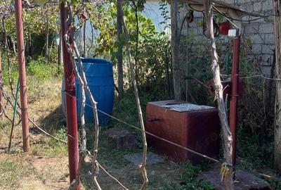 Casă cu 4 camere cu Teren 2800 Mp în Mozăceni - 4