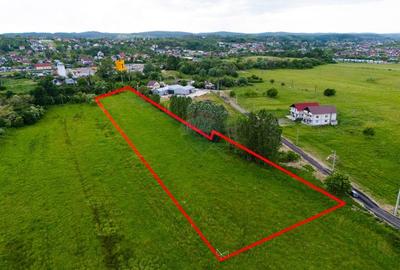 Teren Construcții intravilan de 9810 mp, în Bascov - 1