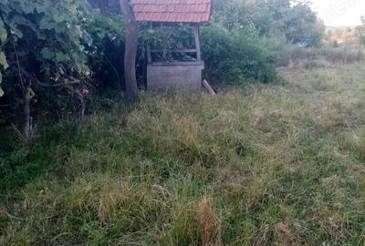 Casă cu 5 camere cu Teren 20142 Mp în Gladna Română - 4