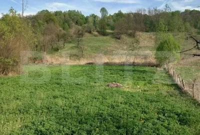 Teren de 4252 mp, în Vulcana-Pandele - 5