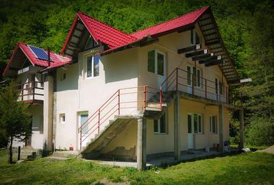 Casa de vacanta perfecta pe malul Cernei - 3