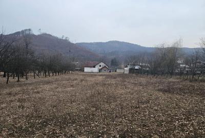 Casă cu 4 camere în Central - 2