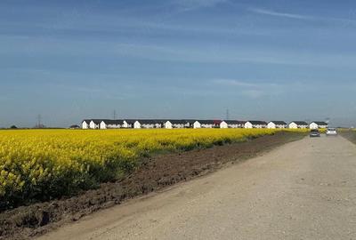 Teren de 414 mp, în Bragadiru - 7
