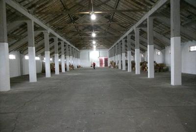 Hana zona dn 13 - 2