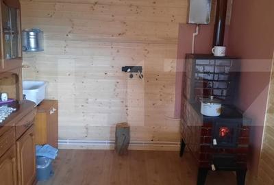 Casă cu 3 camere cu Teren 1000 Mp în Șugag - 1