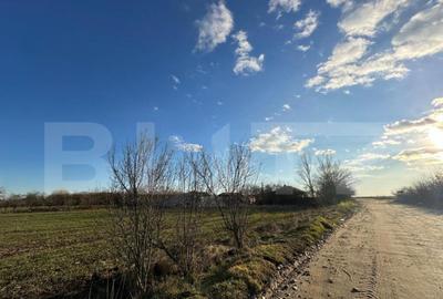 Casa batraneasca de vanzare, 48 mp, zona Patroaia Deal cu C - 4