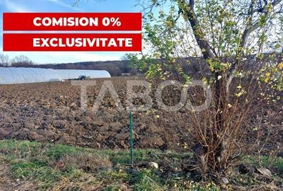 Teren intravilan 1687 mp pentru cabana zona de gradini Cisnadie - 1