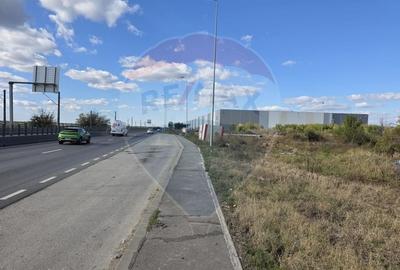 Teren Construcții intravilan de 13210 mp, în Ștefăneștii de Jos - 3