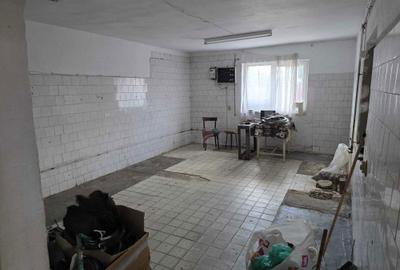 Spațiu comercial, de 50 mp, în Someșeni