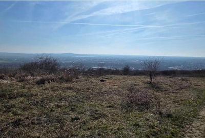 Teren Construcții intravilan de 6900 mp, în Dealuri Oradea - 3