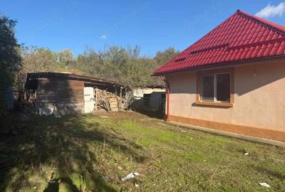 Casa 133 mp utili, 3300 mp teren, Ciutura - 2