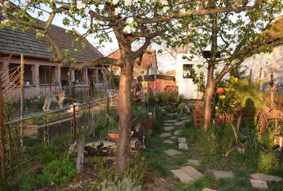 Casă cu 4 camere cu Teren 1000 Mp în Ianova - 3