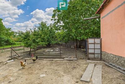 Casa cu 3 camere ?i teren generos langa frontiera - 13