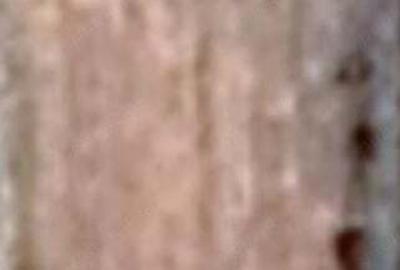 Vand casa si teren - 3