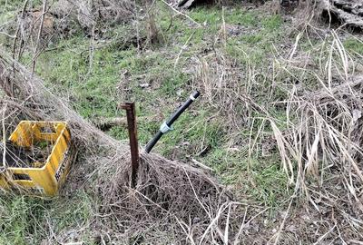 Casă cu 7 camere cu Teren 1500 Mp în Central - 8