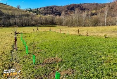 Teren agricol extravilan de 682 mp, în Nord-Est - 30