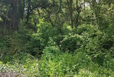 Domeniu verde autentic,  +5.000mp, front la DJ, Valcele, Brasov -- Covasna - 12