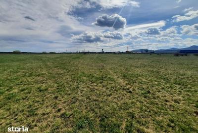 Teren de 3600 mp, în 1 Mai