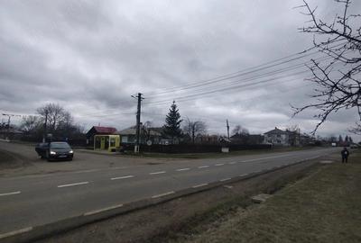 Casă cu Teren 3976 Mp în Dumbrăvița - 1