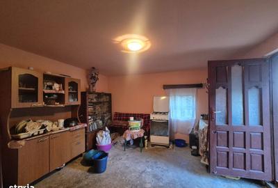 Casă cu 3 camere cu Teren 4820 Mp în Telești - 3