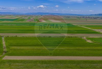 Teren agricol extravilan de 4000 mp, în Stupinii Prejmerului - 13