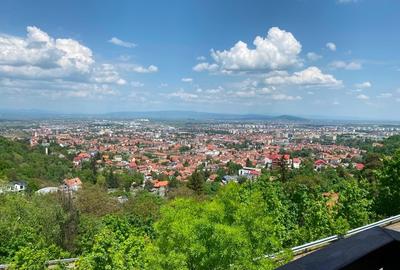 Casă individuală cu 6 camere cu Teren 3446 Mp în Drumul Poienii - 2