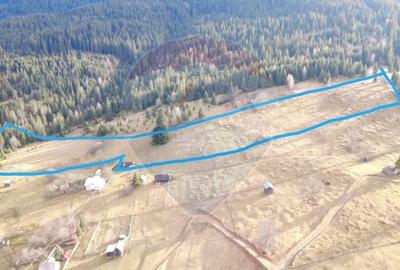 Teren intravilan 26232m.p.  Dorna-Arini / Cozanesti - 4