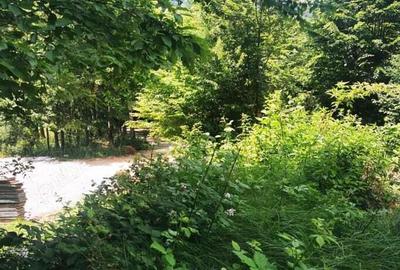 Teren Valiug 900-2400 mp acces auto utilita?i negociabil - 19