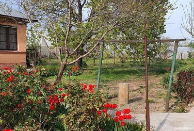 Casă cu 6 camere în Moldoveni - 2