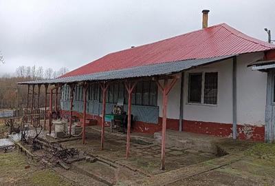 Casă cu 3 camere cu Teren 2030 Mp în Chiraftei - 3