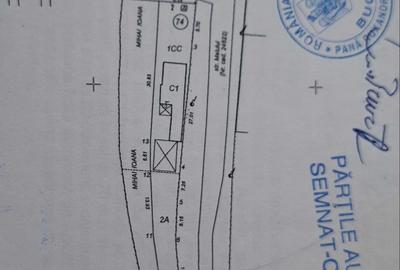 Teren de 980 mp, în Poienarii-Rali - 6