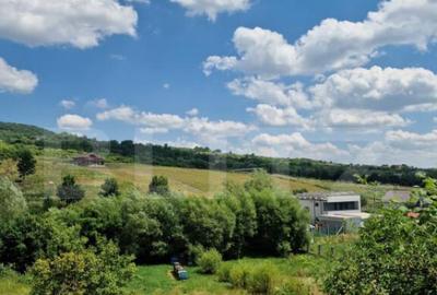 Teren extravilan, 774 mp, zona de centura, Priveliste Panora - 3