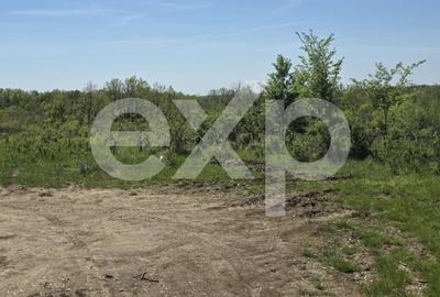 Teren Construcții intravilan de 3015 mp, în Moșoaia - 5