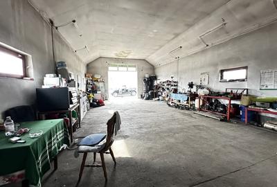 Spațiu industrial, de 250 mp, în Sântimbru - 18