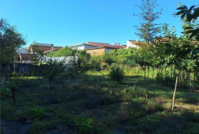 Teren de 320 mp, în Central